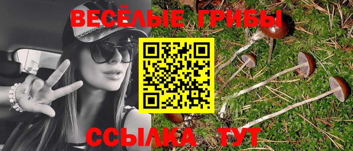 Галлюциногенные грибы Magic Shrooms  Вход с VPN  Псилоцибиновые грибы Psilocybe  Ивантеевка 