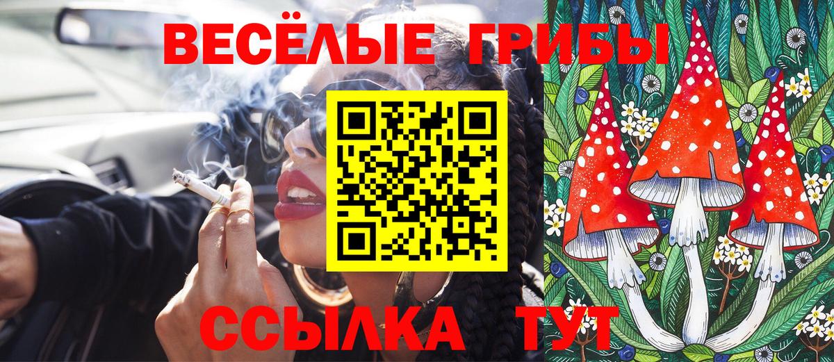 Галлюциногенные грибы GOLDEN TEACHER Ивантеевка